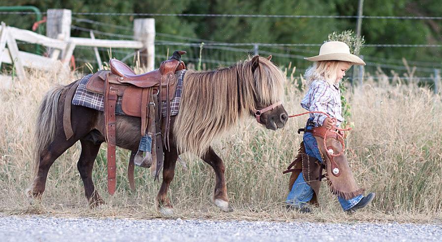 Obter as medidas corretas é uma parte crucial na compra de sua sela de cavalo em miniatura