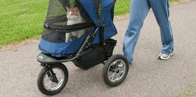 É sempre adorável ver um bebê em um carrinho ao lado de um cachorro sendo passado na coleira