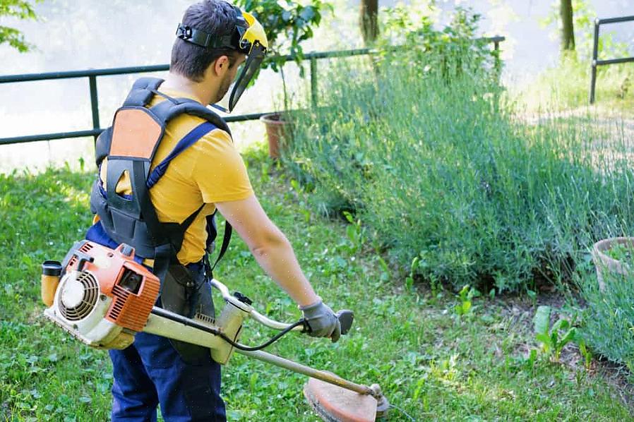 Saber como usar corretamente o seu herbicida pode dar ao seu gramado uma aparência bem cuidada