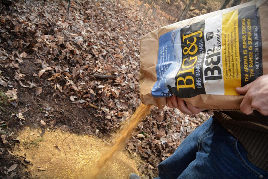 Faça blocos de alimentação para cervos o máximo possível para alimentá-los