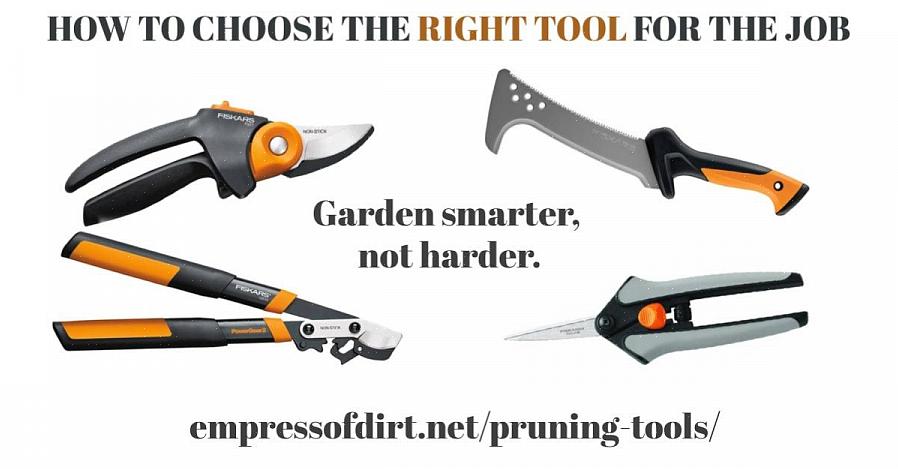Essas dicas o ajudarão a selecionar as ferramentas básicas de jardinagem de que você precisa