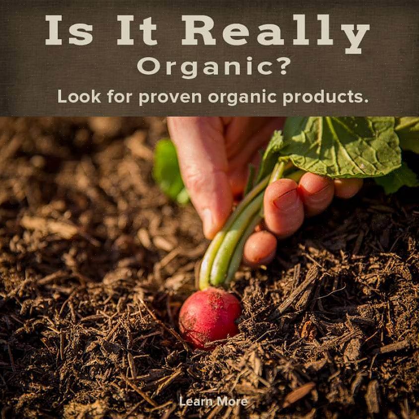 Você pode encontrá-los facilmente em qualquer loja de produtos de jardinagem orgânica ou apenas em sua loja