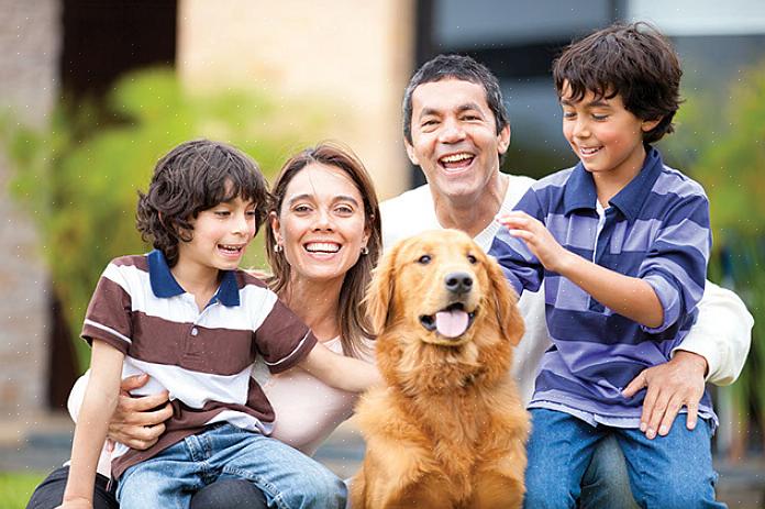 Algo para a sua família envolve responsabilidades