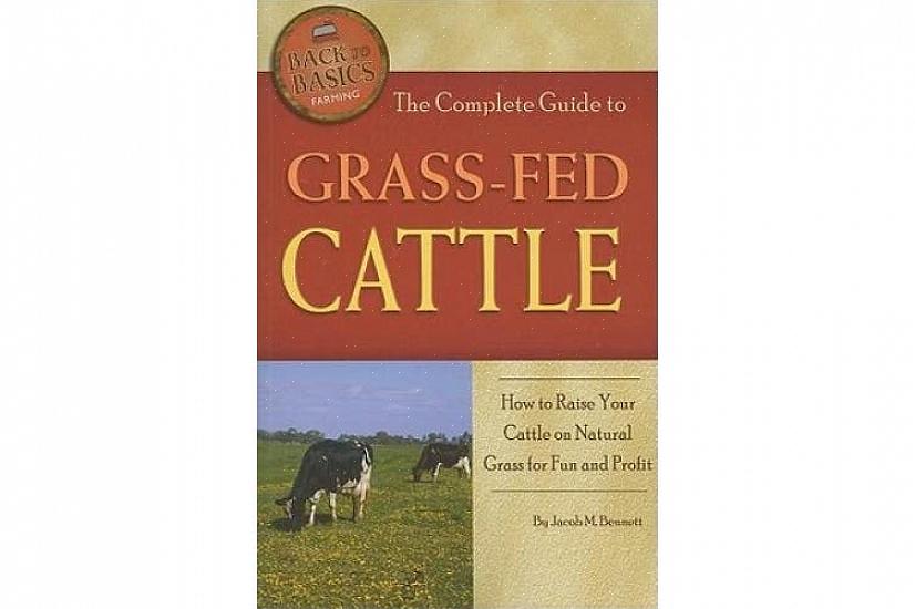 Escolha a raça certa de gado que cresce melhor com grama para render mais quilos de carne de primeira