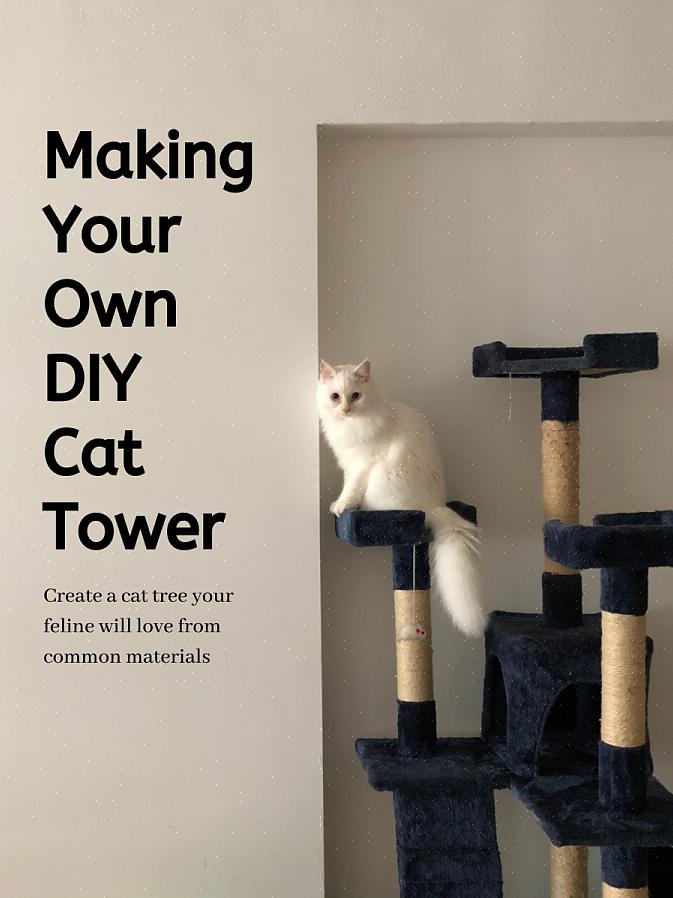 Você precisará anexar o papelão à estrutura do condomínio do gato