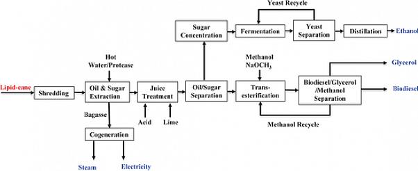 Transfira o biodiesel para uma das garrafas PET