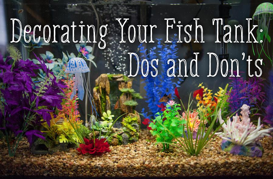 Você pode construir decorações de aquário não tóxicas