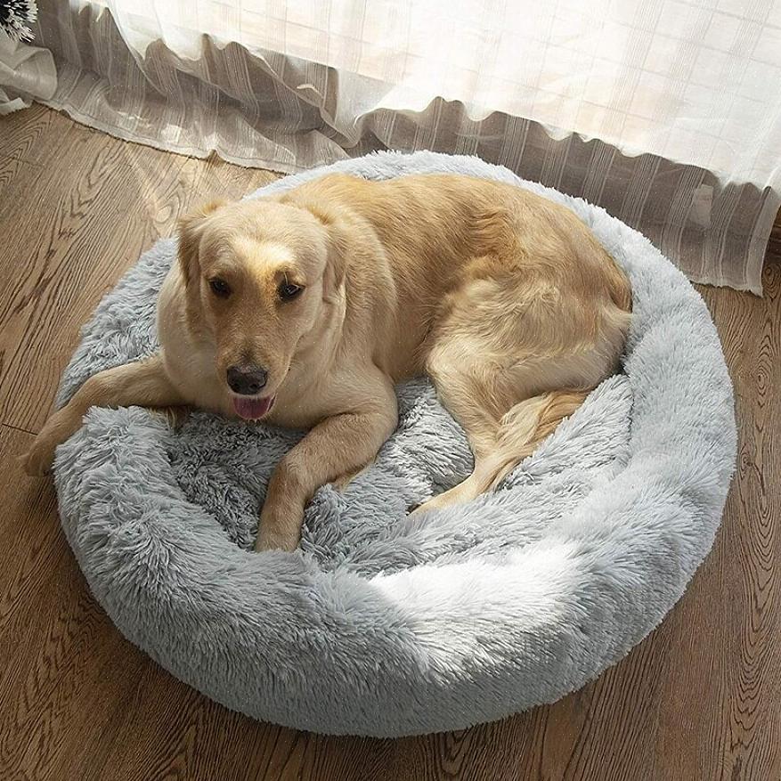 É melhor conseguir uma cama com almofada simples para o seu cão