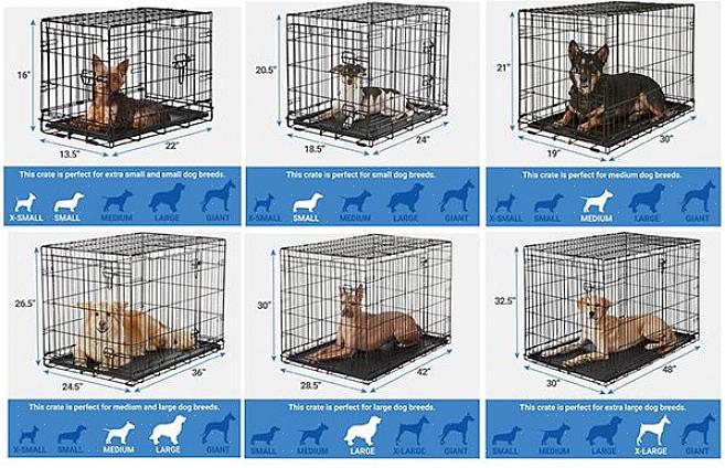 Compre o tipo de plástico com divisórias se você for criar um filhote de cachorro