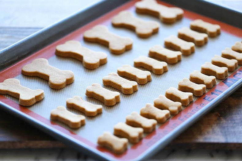 Seu companheiro de quatro patas vai adorar você ainda mais quando você fizer biscoitos de cachorro para ele