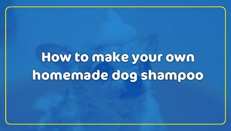 Esta glicerina ajudará a unir a maioria dos elementos da mistura de shampoo de seu cão