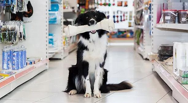 Aqui estão algumas dicas ao comprar suprimentos para animais online