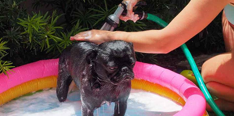 Para preparar a banheira para o banho