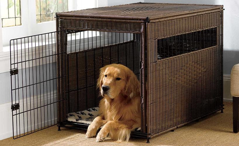 Uma casinha de cachorro também é útil para protegê-lo de uma possível briga com outros animais de estimação