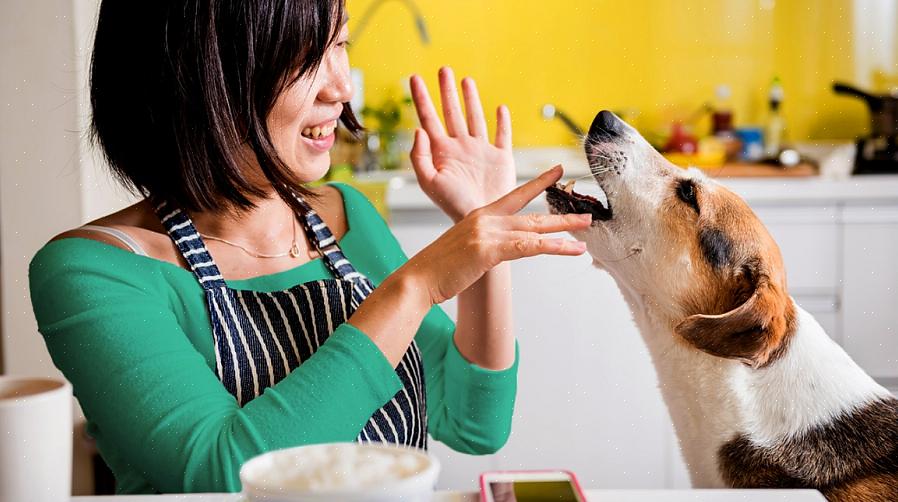 Depois com comida humana no dia seguinte