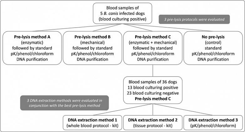 Existem várias lojas que podem enviar esses kits de teste de DNA para sua casa