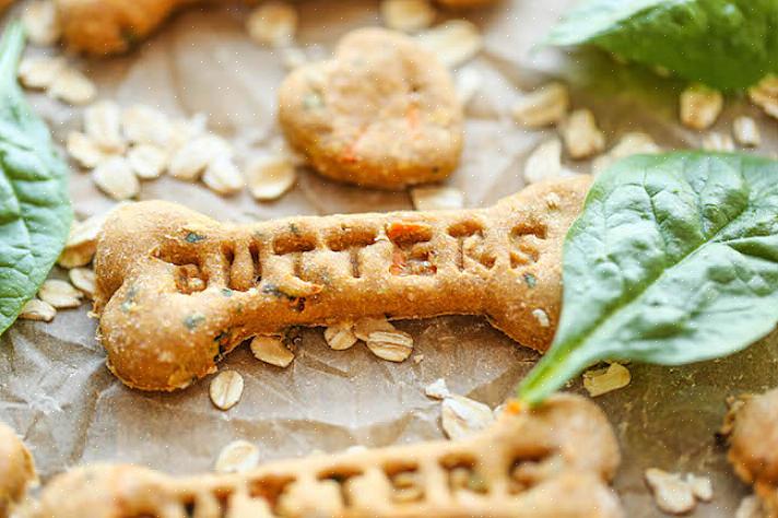 Você pode fazer seus próprios biscoitos para cães