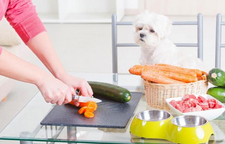 Você precisa fornecer alimentos saudáveis para eles