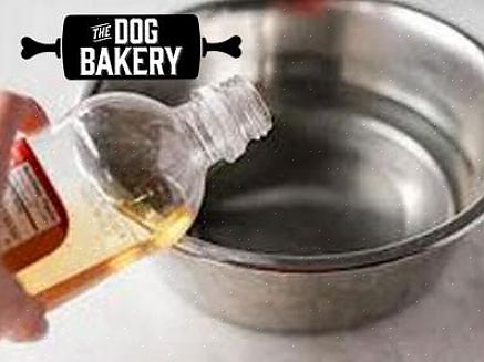 Misture um pouco de vinagre de maçã na comida do seu cão