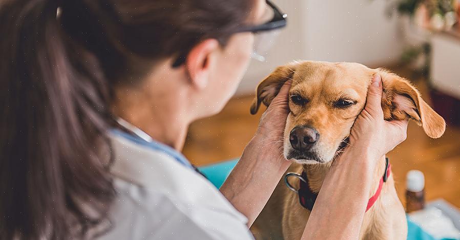 Pode ser devido a uma alergia a um determinado alimento