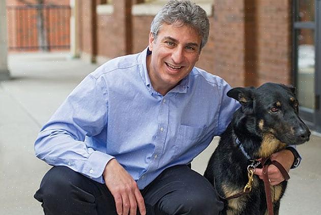 O diagnóstico de hemangiossarcoma canino não é o que qualquer proprietário deseja ouvir de seu veterinário