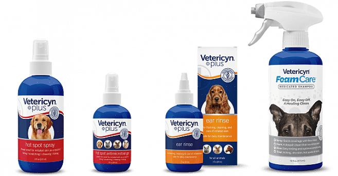 O shampoo para cães pode ser comprado em lojas de cães locais ou no veterinário de sua escolha