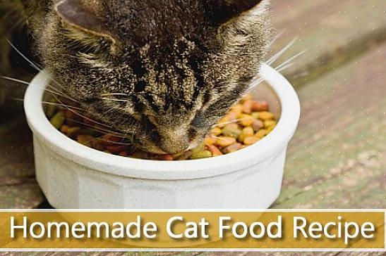 Especialmente se estiver tentando fazer comida orgânica para gatos