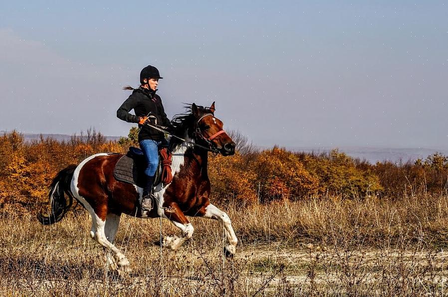 Prepare-se para o movimento para frente que você experimentará quando o cavalo diminuir a velocidade