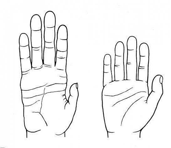 Os nós dos dedos mais fortes permitirão que você se envolva em uma variedade de artes marciais