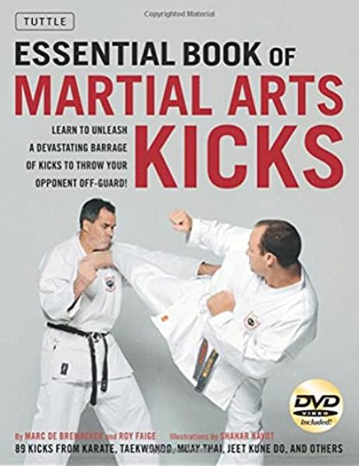 Você pode assistir a vídeos de instruções de artes marciais
