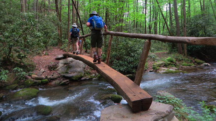 O Parque Nacional Great Smoky Mountains é um destino ideal para caminhantes de todos os níveis