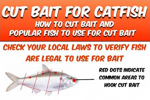 A faca de filé é melhor porque para preparar o peixe-gato é necessário cortar a carne em filés