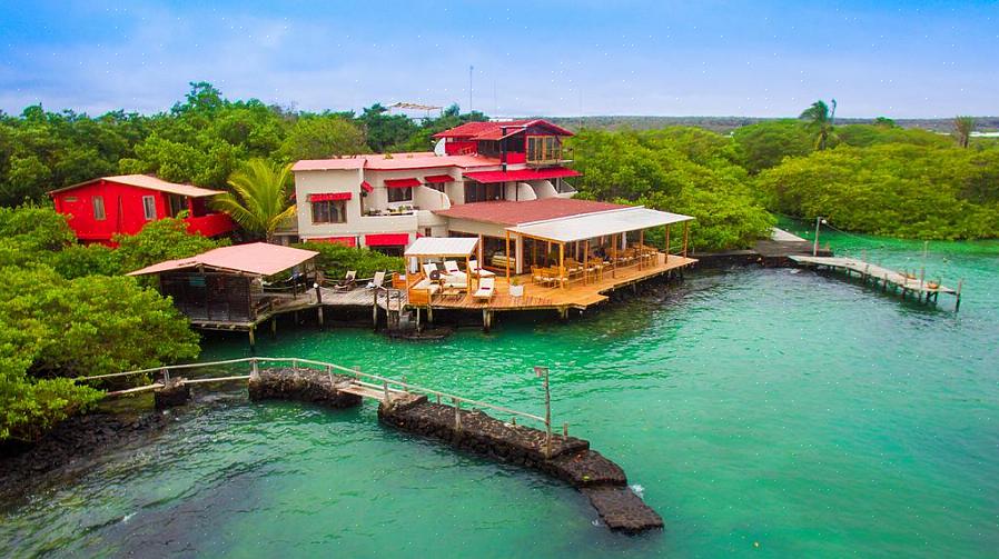 Encontrar hotéis baratos não é a única maneira de economizar em sua viagem às Ilhas Galápagos