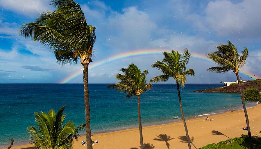 O plano de orçamento ajudará você a economizar muito dinheiro para Maui