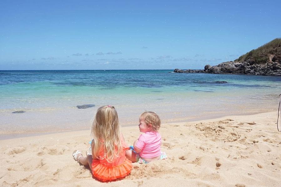 Aqui estão alguns pontos a serem considerados ao planejar sua viagem em família a Maui