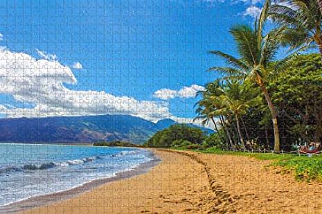 Sonhando com uma viagem em família para Maui
