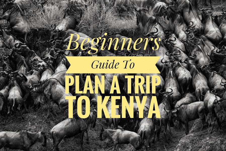 Decida se deseja usar um agente de viagens para planejar sua viagem ao Quênia