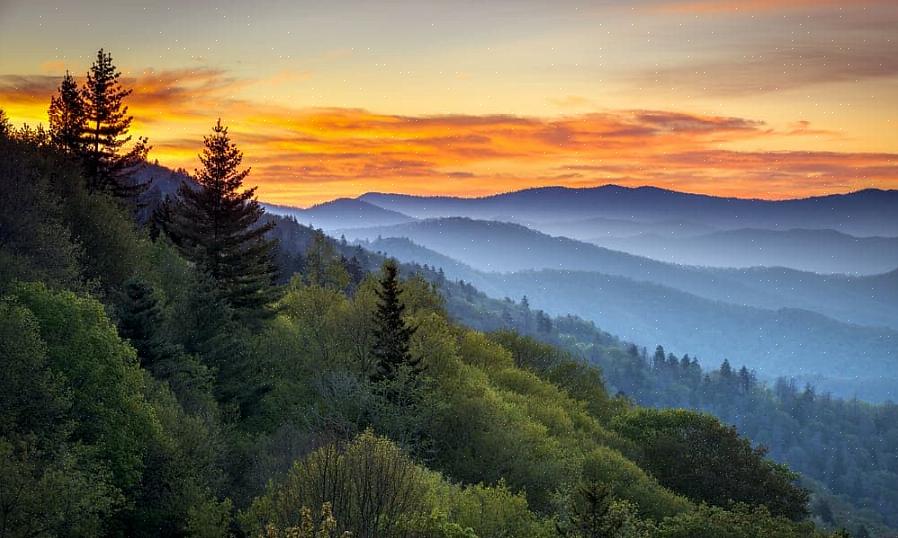 Este destino o recompensa com vislumbres de uma época passada nas Smoky Mountains