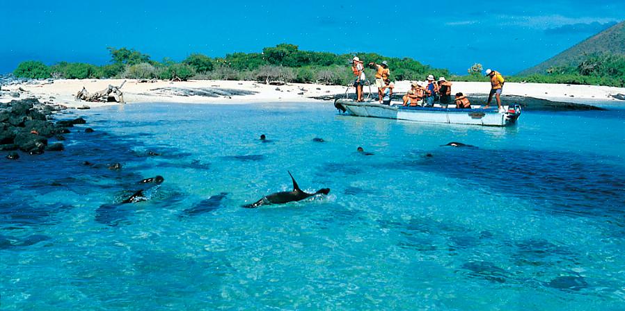 As leis que protegem a vida selvagem nas Ilhas Galápagos também limitam o número de turistas que podem
