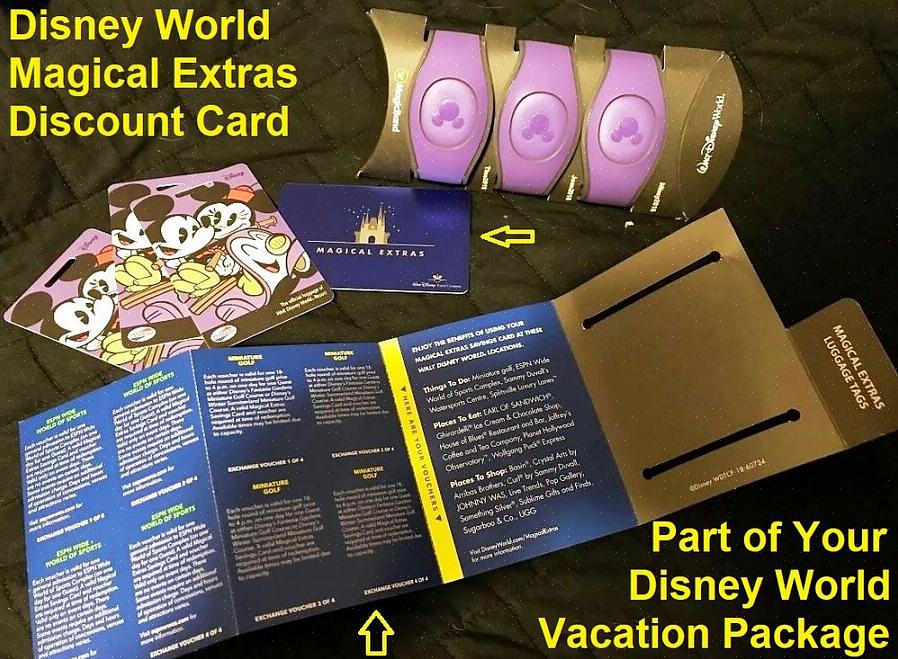 Você também pode ver os diferentes pacotes de férias na Disney que você pode obter para economizar dinheiro