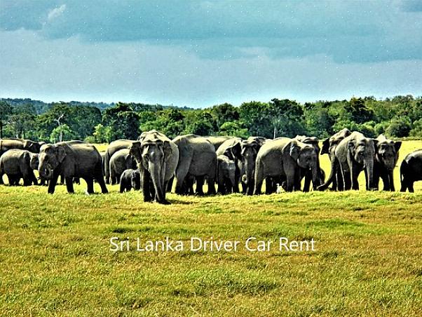 Para as dezenas de milhares de europeus que vêm ao Sri Lanka anualmente