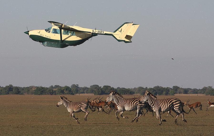 Você pode pegar voos para fora de Londres usando a African Safari Airways para chegar a Mombaça