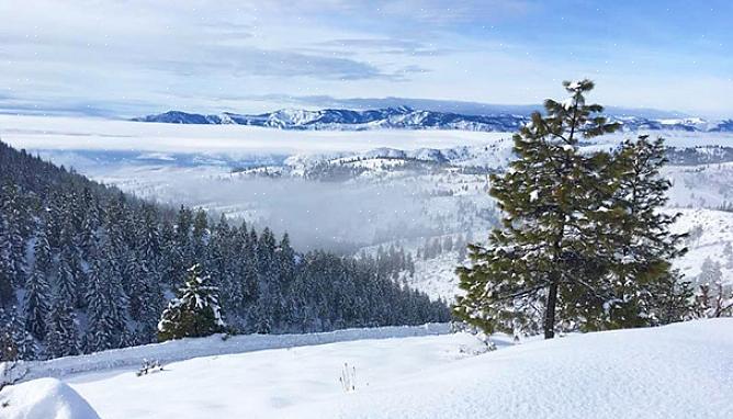 Esta "Rede doméstica de férias" oferece propriedades para aluguel em resorts de esqui em British Columbia