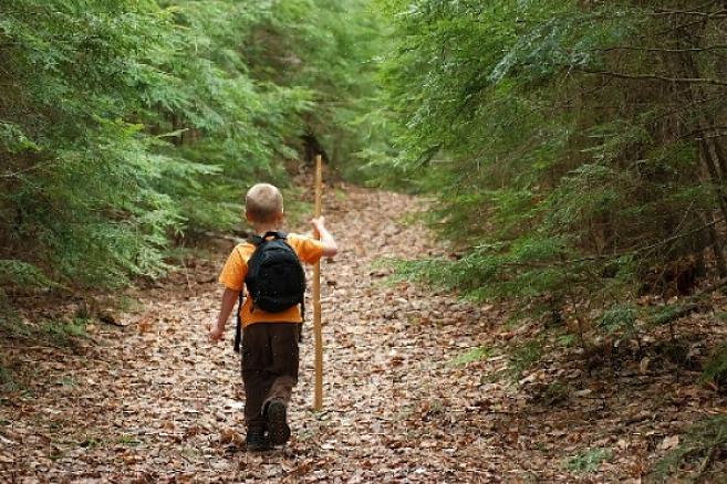 Você tem que perceber que seria muito difícil sobreviver na floresta sem fogo