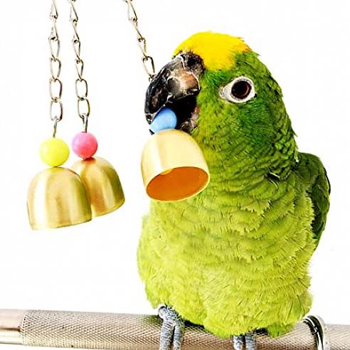 Aqui está uma lista de ótimos brinquedos para pássaros que os mantêm entretidos