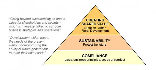 Essas são as etapas que devem ser consideradas na elaboração do plano de Responsabilidade Social Corporativa