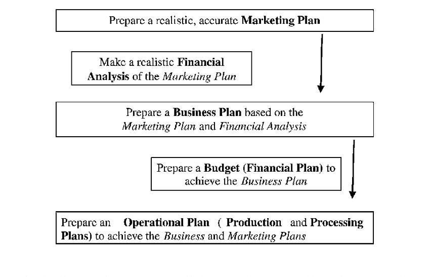 O Plano Organizacional e o Plano Financeiro