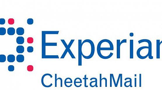 Veja como o serviço Cheetah Mail pode ser usado em marketing