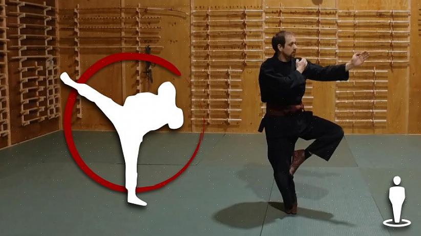 Não há tantas escolas de ninjitsu quanto outras escolas de artes marciais onde você pode aprender
