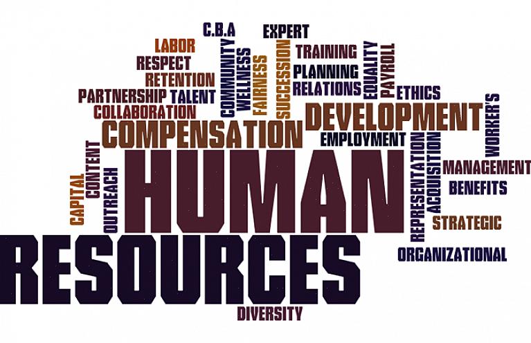 Leis internacionais de RH fazendo aulas de recursos humanos online